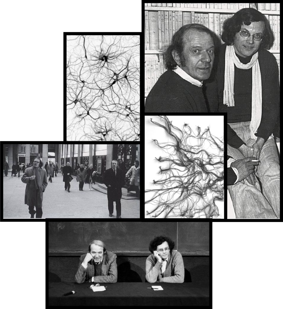 fotografije-dgs